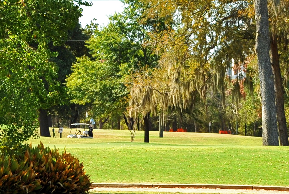 Memorial Park is located near Cottage Grove